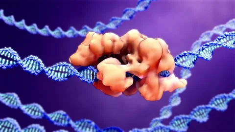 CRISPR Cas-9 cutting DNA Stock Footage 178539064
