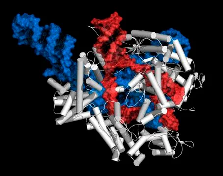 CRISPR-CAS9 gene editing complex Stock Illustration