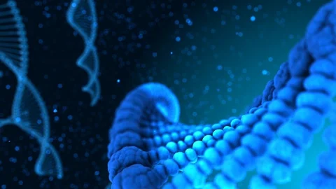 CRISPR Cas9 Genetic manipulation DNA repair mechanisms genetic engineering Stock Footage 105325614