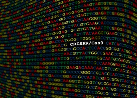 CRISPR-Cas9 locus on DNA sequence Stockfoto's
