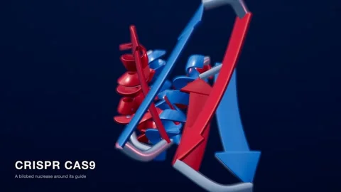 Crispr cas9 protein structure red blue medical technology loop 스톡 동영상 343829751