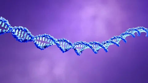 CRISPR-Cas9 proteins recognize and cut foreign pathogenic DNA Stock Footage 124738955
