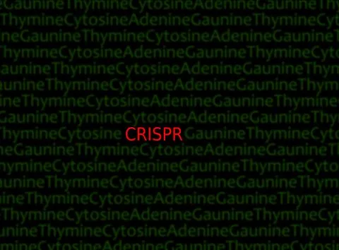 CRISPR DNA concept Stock Illustration