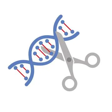 Crispr - gene editing tool. Genetic engineering. Vector stock illustration. Stock Illustration