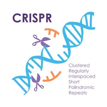 Crispr innovation and technology future banner Stock Illustration