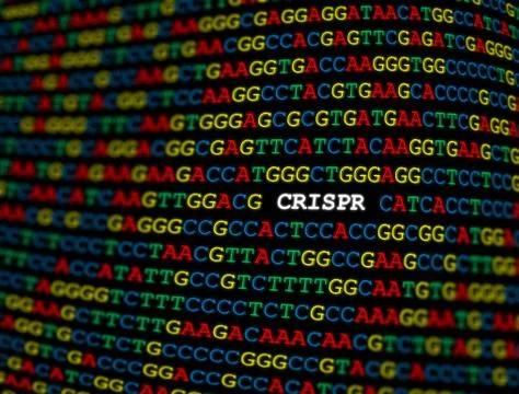 CRISPR locus on DNA sequence Stockfoto's