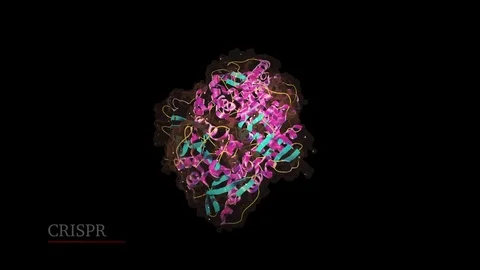 CRISPR Molecule Animation Vidéo 73344260