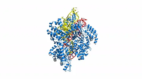 CRISPR/Cas9 genome engineering system Stock Footage 47109315