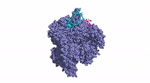 CRISPR/Cas9 genome engineering system Stock Footage 49122119