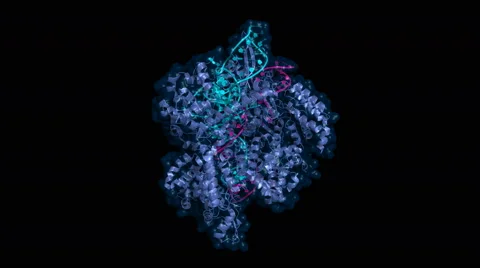 CRISPR/Cas9, rotating model Stock Footage