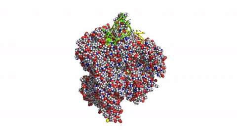 CRISPR/Cas9, rotating space-filling model 스톡 동영상 49122121