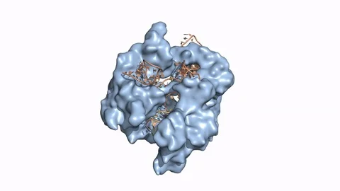 CRISPR/Cas9, rotating surface model Stock Footage 79799751