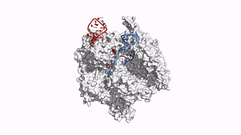 CRISPR/Cas9 surface model Stock Footage 79799807