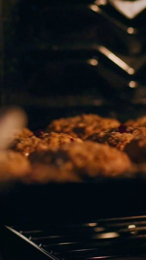 Crispy cookies baking in a warm oven with a golden brown finish Stock Footage 331541375