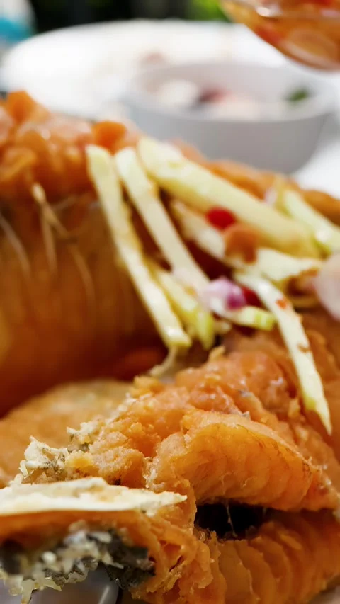 Crispy Deep Fried Seabass With Mango Salad and Spicy Sauce Stock Footage 338377397