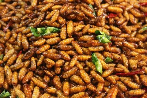 Crispy Deep Fried Worms - Popular Asian Snack Stock Photos