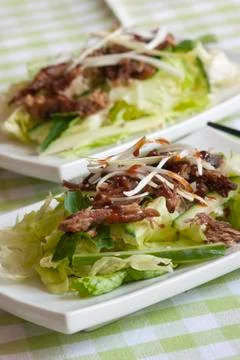 Crispy duck salad Stock Photos