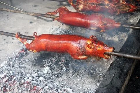 Crispy lechon being roasted in burning charcoal pit. Stock Photos