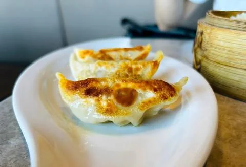 Crispy Pan-Fried Dumplings on a White Plate Stock-Fotos
