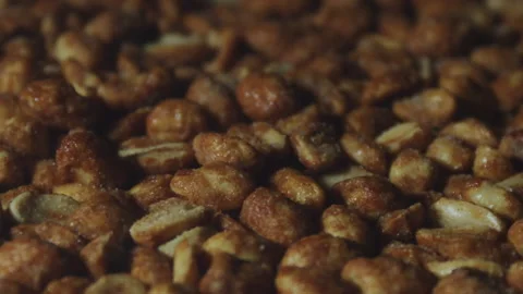 Crispy peanuts in oven Stock Footage 219346130