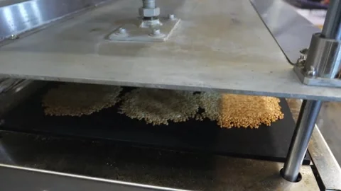 Crispy Puffed Rice Cakes Baking on Conveyor Belt in Food Factory Video stock 343028482