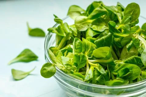 Crispy raw corn Stock Photos
