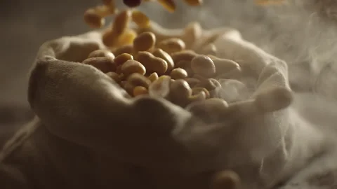 Crispy roasted salted peanuts falling in super slow motion close up. Hot Stock Footage 317247798