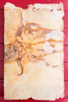 Crispy squid Foto stock