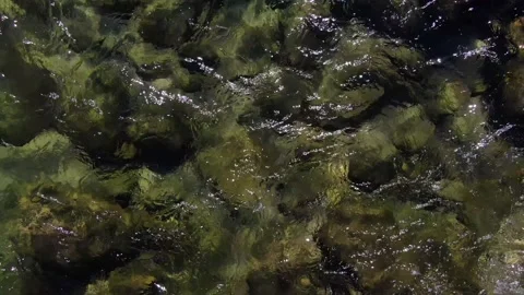 Crispy Water Video stock 163236996