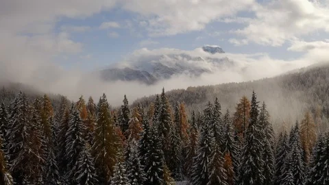 Cristallo mountain and a cloudy and snowy forest of pines and  larches Stock Footage 129601672