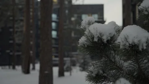 Cristmas residential complex. Manual filming Vídeo Stock 317543208