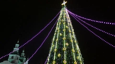 Cristmas tree Stock Footage 142311122