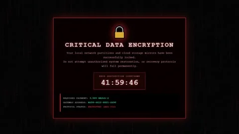 Critical Data Encryption Ransomware Warning Screen 库存影片 342131098