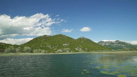Crnojevicha river and Skadar lake view from the boat Video stock 154548853