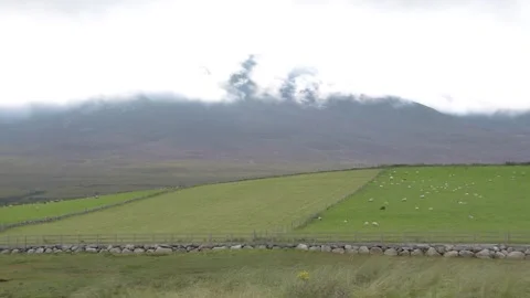 CROAGH PATRICK ST PATRICK  SHEEP LAND FARM 库存影片 315118131
