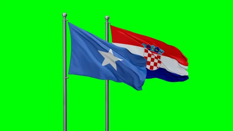 Croatia and Somalia two flags Stock Footage 295109114