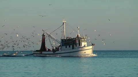 Croatia Istria Stock Footage 121360091