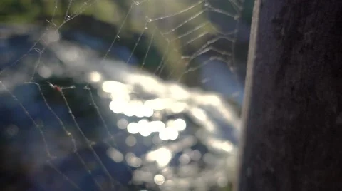 Croatia Spiderweb Waterfall Video stock 66299900