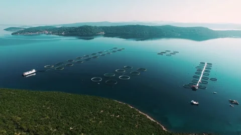 Croatiadronestock00016720 Stock Footage 243726202