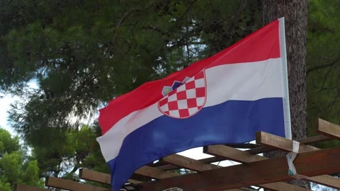 Croatian flag waving in the wind with backdrop of pine tree crowns Stock Footage 299894715
