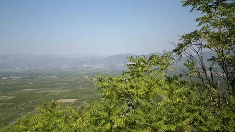 Croatian Landscape Through Trees Stock Footage 293183340