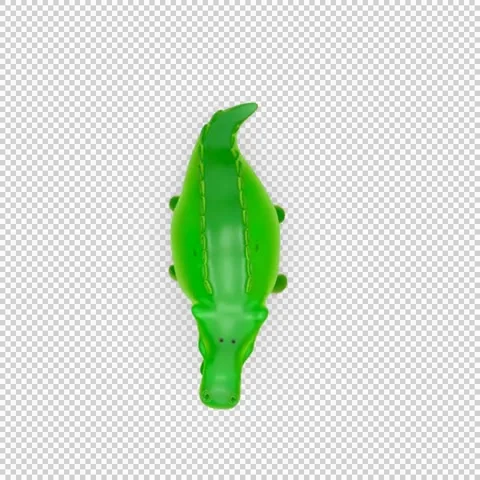 Croc walk top Video stock 146975331