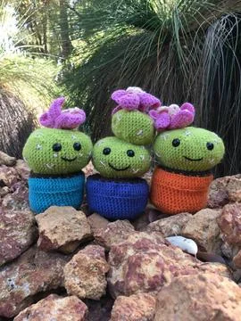 Crocheted Cactus 写真素材