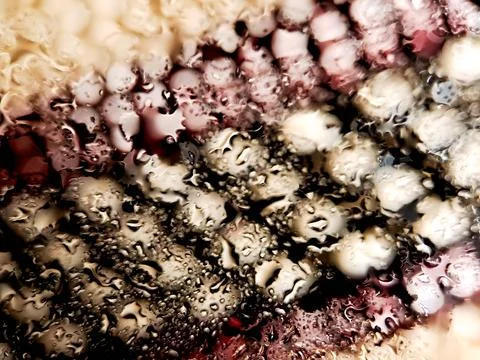 Crocheted fabric with a mesmerizing interplay of white, burgundy, and black.. Stock Photos