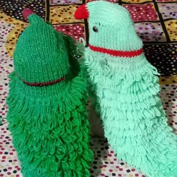 Crocheted parrots. Stock Photos