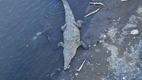 Crock nappin Stock Footage 126615775
