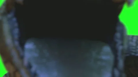 Crocodile attack 3D render on a green background Stock Footage 79686915