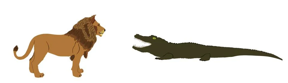 Crocodile attack lion vector illustration isolated. Survivor watering place Illustration