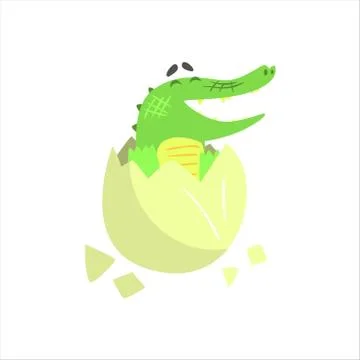 Crocodile Baby Hatching From Egg, Humanized Green Reptile Animal Character Every Stock Illustration