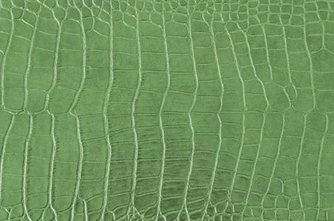 Crocodile background 스톡 사진